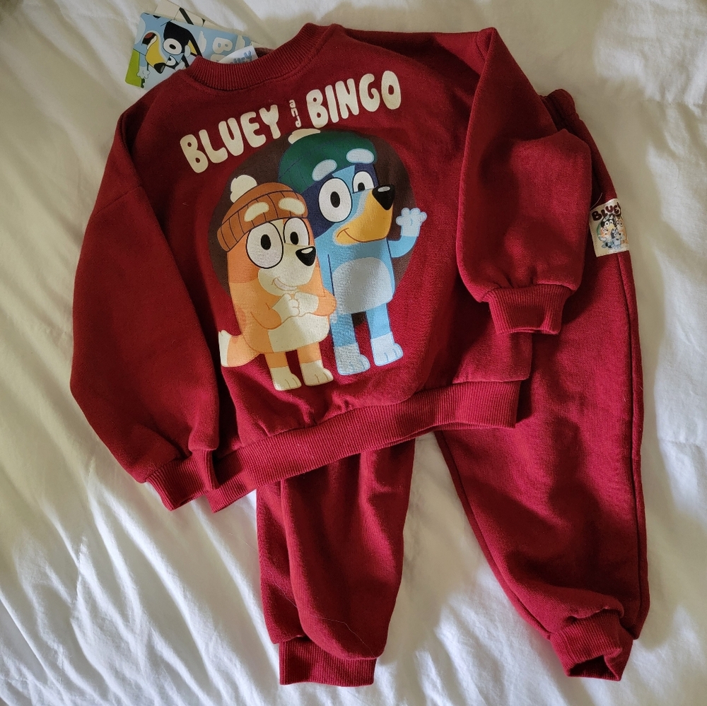 NWT Zara Bluey set